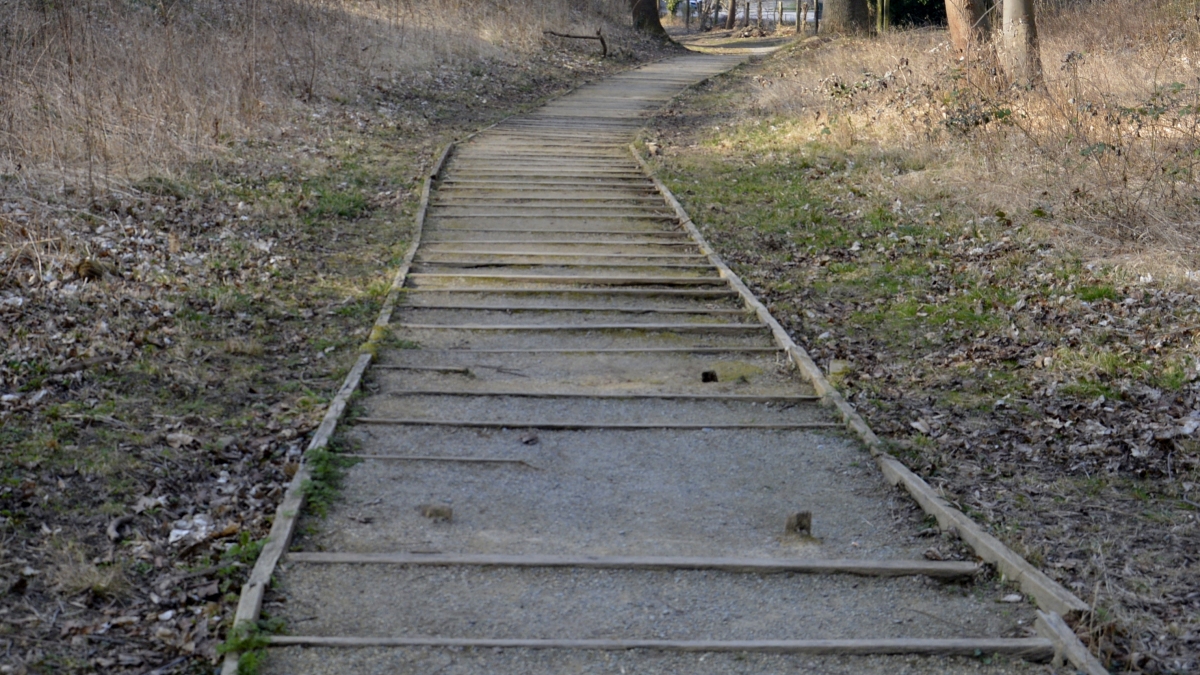 Foto: Nata Uchava, Magdeburg