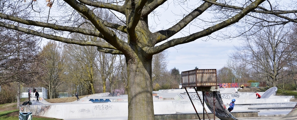 Foto: Nata Uchava, Freiburg.
