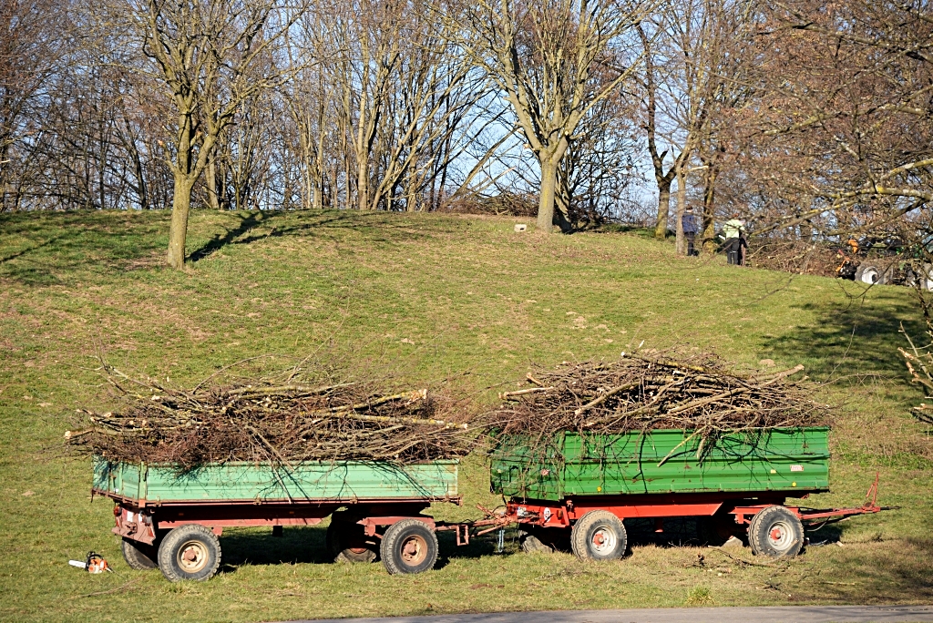 Foto: Nata Uchava, Freiburg