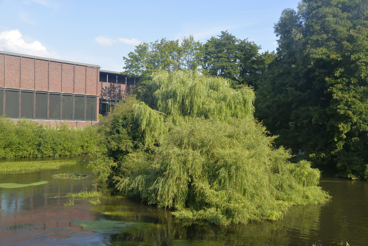 Foto: Nata Uchava, Magdeburg
